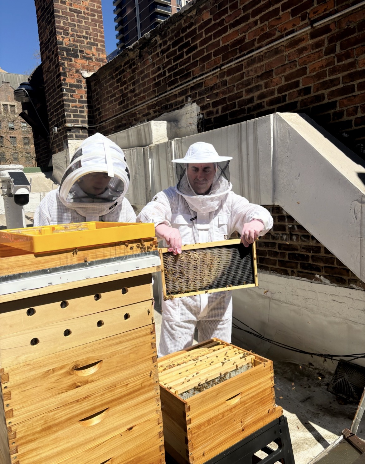 Asher, the beekeeper
